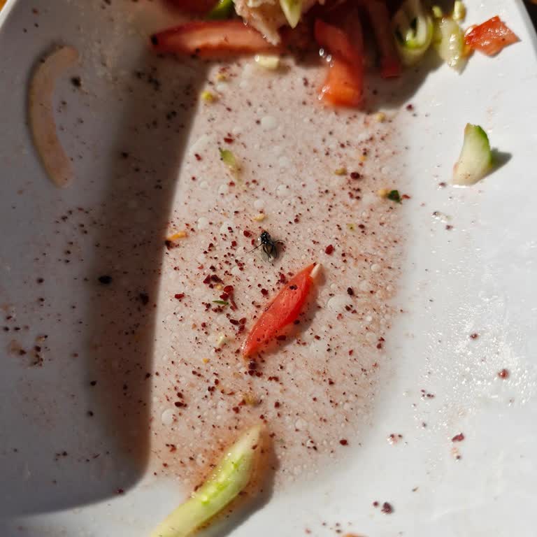 Gümüş Et Restaurant Salatamızın İçinde Kara Sinek Çıktı