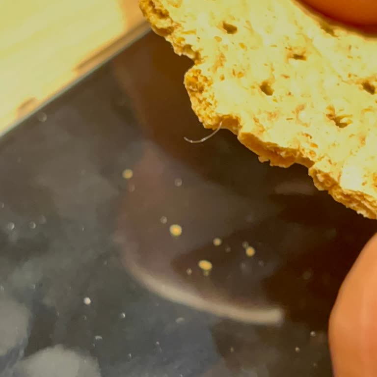 Eti Form Ürününde Kıl Çıkması Nedeniyle Hijyen Endişesi