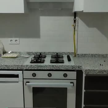 Alveus Kurulumun Tekrarını Talep Ediyorum!