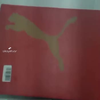 Amazon Ayakkabı Kutusundan 3 Tane Ölü Yavru Fare Çıktı!
