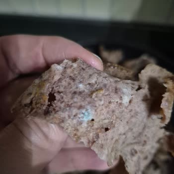 Hanif Pehlivanoğlu Son Kullanma Tarihi Geçmemiş Dönerde Küf Ve Kötü Koku Sorunu