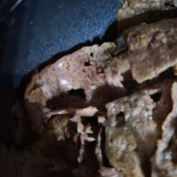 Hanif Pehlivanoğlu Son Kullanma Tarihi Geçmemiş Dönerde Küf Ve Kötü Koku Sorunu