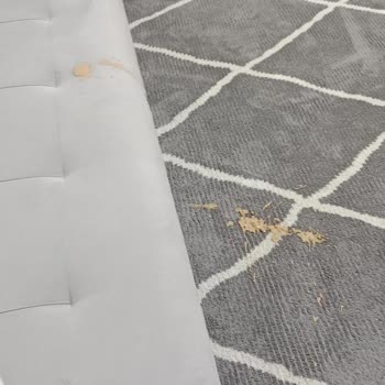 Moochie Kedimin Mama Sonrası Yaşadığı Sağlık Sorunu Endişe Verici