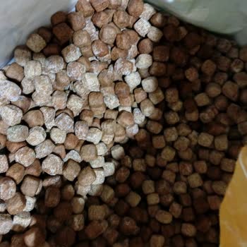 Bozuk Ve Küflenmiş Mama Gönderildi Müşteri Hizmetleri Dönüş Yapmıyor