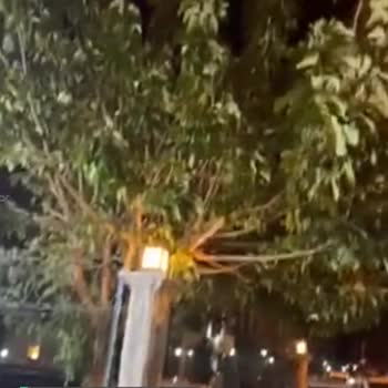 Karabağlar Belediyesi Park Bahçeler Müdürlüğüne