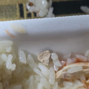 Dağyolu Pilavcısı Esenler İlgisizliği