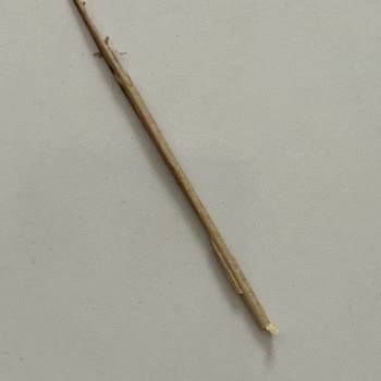 Peçete İçinden Çıkan Sivri Tahta Çubuk Ciddi Güvenlik Ve Hijyen Sorunu Oluşturdu