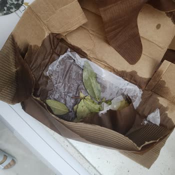 Açık Kapaklı Tonik Kargoda Döküldü, Müşteri Hizmetlerine Ulaşamıyorum