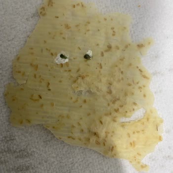 Haşiroğlu Tarhana Cipsinde Hijyen Skandalı: Üzerinde Yabancı Madde Çıktı