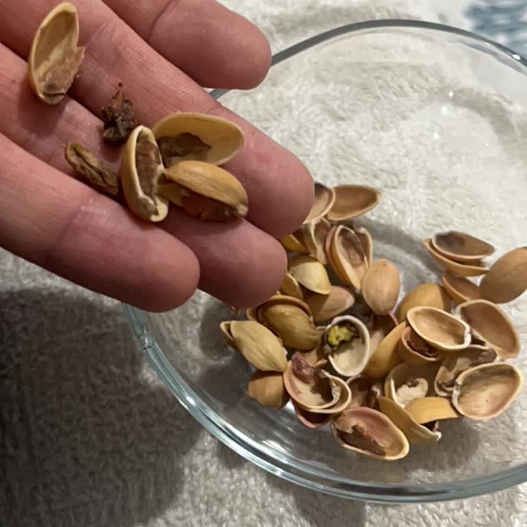 Aldığım Siirt Fıstıkları Sürekli Boş Ve Bayat Çıkıyor, Güvenim Sarsıldı