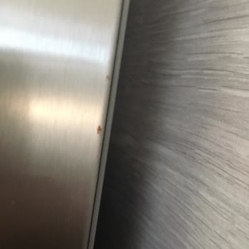 Garanti Kapsamında Olmasına Rağmen Paslanan Buzdolabı Ve Yetersiz Servis Hizmeti