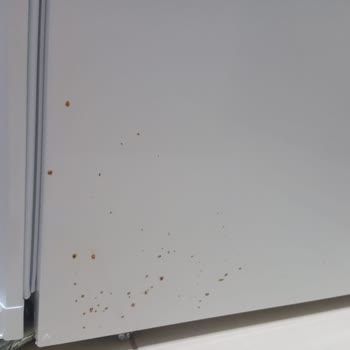 Yeni Alınan Buzdolabında Kısa Sürede Paslanma Ve Garanti Sorunu