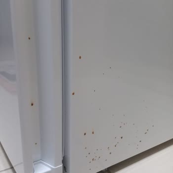Yeni Alınan Buzdolabında Kısa Sürede Paslanma Ve Garanti Sorunu