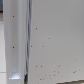 Yeni Alınan Buzdolabında Kısa Sürede Paslanma Ve Garanti Sorunu