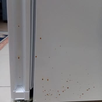 Yeni Alınan Buzdolabında Kısa Sürede Paslanma Ve Garanti Sorunu