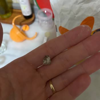 Aldığım Unun İçinden Taş Çıktı, Ürün Değişimi İstiyorum