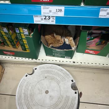 A101 Şubesinde Hijyen Eksikliği Ve Yanlış Fiyat Etiketleri Mağaza Standart Dışı