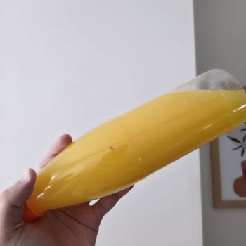 Sıkma Portakal Suyunda Sinek Çıktı Hijyen Ve Sağlık Riski Yaşadım