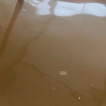 Hijyen Sorunları Ve İlgisizlik Nedeniyle Mağduriyet Yaşadım, Paramın İadesini İstiyorum