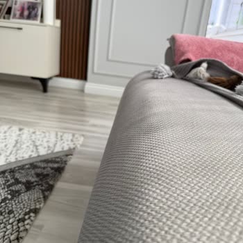 Kısa Sürede Sorunlu Mondi Home Koltuk Takımı Ve Garanti Kapsamı Dışında Bırakılan Onarım Talebi