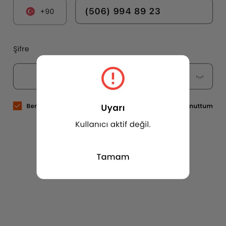 Paratim Hesabım 2 Aydır İnceleme Altında, 100 TL Bakiyeme Erişemiyorum