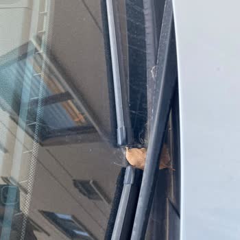 BMW 5 Serisi'nde Ön Cam Fitili Ve Kapı Kollarında Kendiliğinden Oluşan Sorunlara Çözüm Bekliyoruz