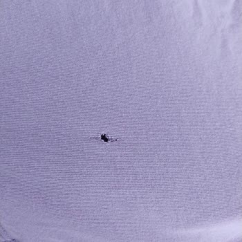 Beko Çamaşır Makinesi Kıyafetlerimi Deliyor Ve Yırtıyor