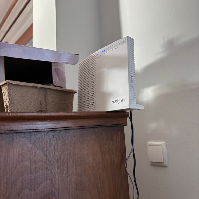 Nakil İşlemi Sonrası İnternet Kesintisi Ve Çözülmeyen Mağduriyet