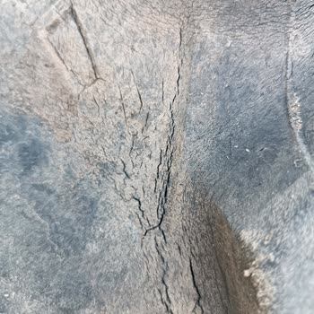 Garantili Traktör Lastiğinde Çatlak Ve Parça Atma Sorunu Mağduriyeti