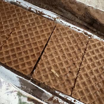 Aldığım Gofretin İçinden Kurt Çıktı: Sağlığım Tehlikeye Girdi