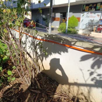 Özel Mülküme İzinsiz Fiber Kablo Döşendi, Güvenliğim Tehlikede!