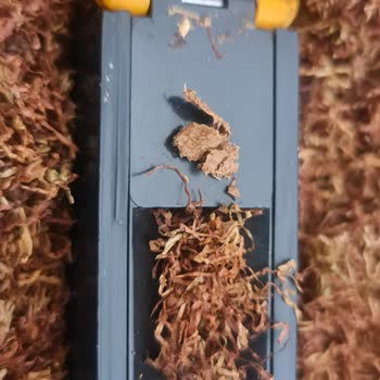 Camel Sigara Paketinde Fare Pisliğiyle Karşılaştım, Hijyen Ve Sağlık Riski Yaşadım