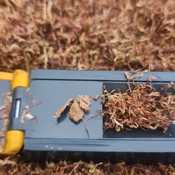 Camel Sigara Paketinde Fare Pisliğiyle Karşılaştım, Hijyen Ve Sağlık Riski Yaşadım
