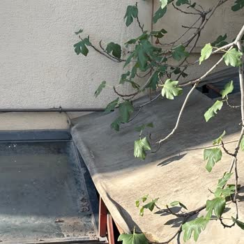 Divan Pastanesi Erenköy Şubesi'nin Dış Cephesi Bakımsız Ve Kirli