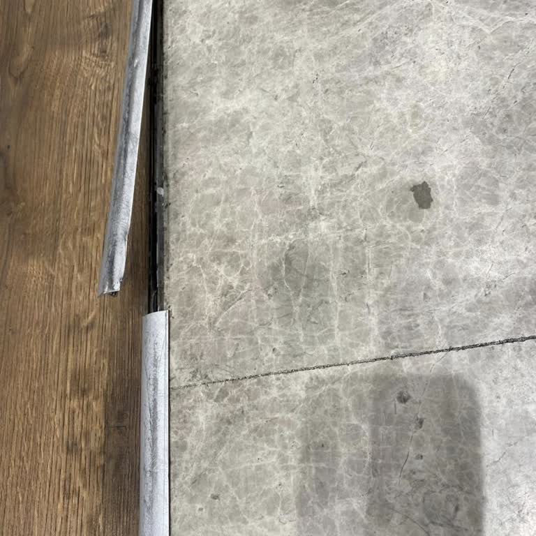 Brandy's Ayakkabımın Yenisiyle Değiştirilmesini İstiyorum