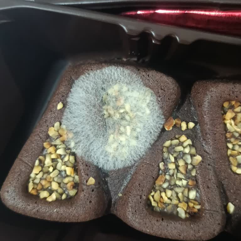 Son Tüketim Tarihi Geçmemiş Eti Paykek'te Küf Sorunu