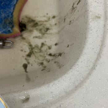 Son Kullanma Tarihi Geçmiş Küflü Ürün Satışı Ve Yetersiz Mağaza İlgisi