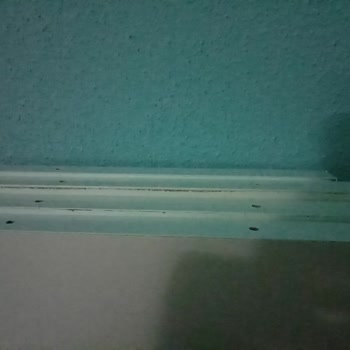 Kargo Teslimatında Israrla Kapıya Getirilmeyen Paket Ve Mağduriyet