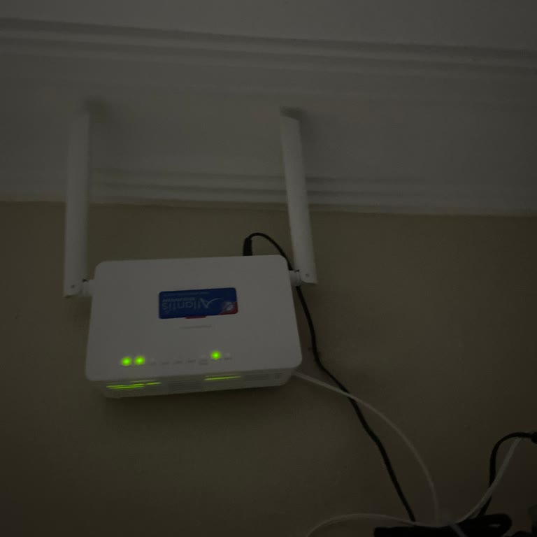 Bağlantı Yok, Destek Yok: İnternet Ve Müşteri Hizmetleri Sınıfta Kaldı