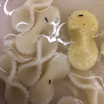 Aldığım Makarnadan Böcek Çıktı Hijyen Ve Sağlık Riski Yaşadım