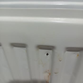 Panel Radyatörlerde Kaynak Noktası Hatası Ve Maddi Zarar Mağduriyeti