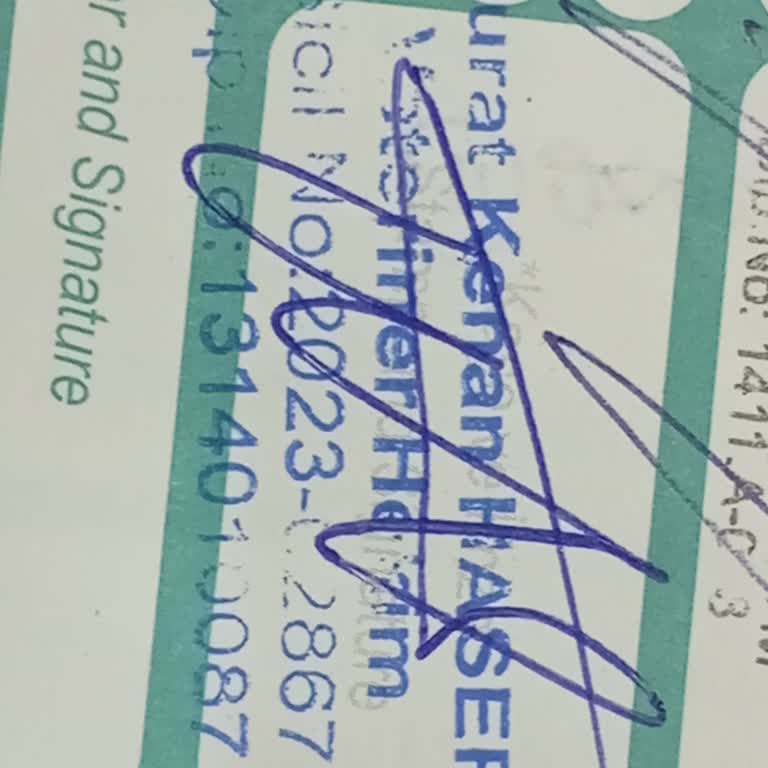 Kuduz Aşısı Sonrası Köpeğimde Şiddetli Alerjik Reaksiyon Ve Maddi Zarar