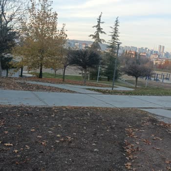 Harikalar Diyarı Parkı'nda Bakımsızlık Ve Göl Sorunu İçin Acil Çözüm Bekliyorum