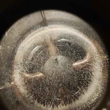 Abant Su'nun 5 Litre Şişelerinde Tad Değişikliği Ve Beyaz Tortu Sorunu