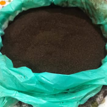 Çaykur Tiryaki Çay'da Yoğun Çay Tozu Sorunu Ve Mağduriyet