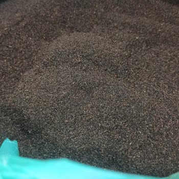 Çaykur Tiryaki Çay'da Yoğun Çay Tozu Sorunu Ve Mağduriyet