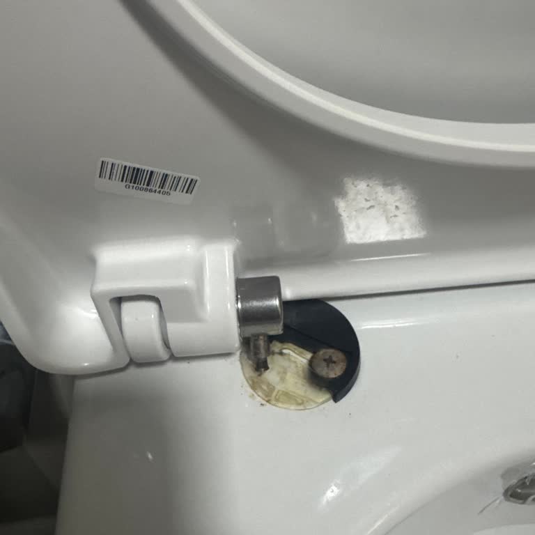 Creavit Elegant Klozet Kapağında Tekrarlayan Menteşe Kırılması Ve Yedek Parça Sorunu