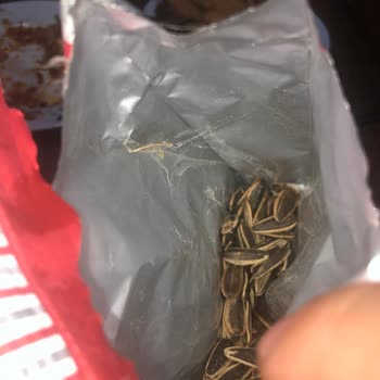 Aldığım Çekirdekte Kurt Çıktı, Çözüm Sunulmadı Mağdur Oldum