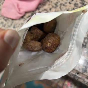 Kurtlu İncir Teslimatı Sonrası Migros Hemen'den Dönüş Alamadım