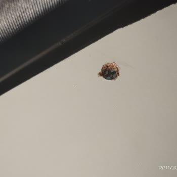 Ürün Özellikleri Ve Kalitesi Beklentileri Karşılamadı